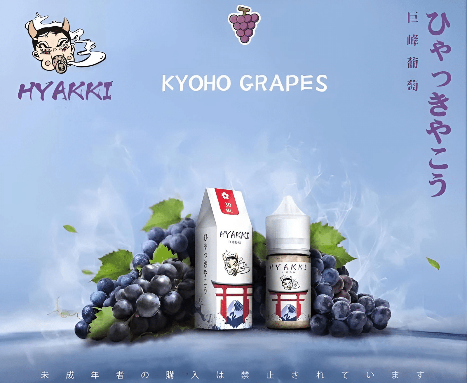 HYAKKI煙油哈亞齊日系進口 30ml/35mg 小煙專用煙油|711貨到付款:圖片 10